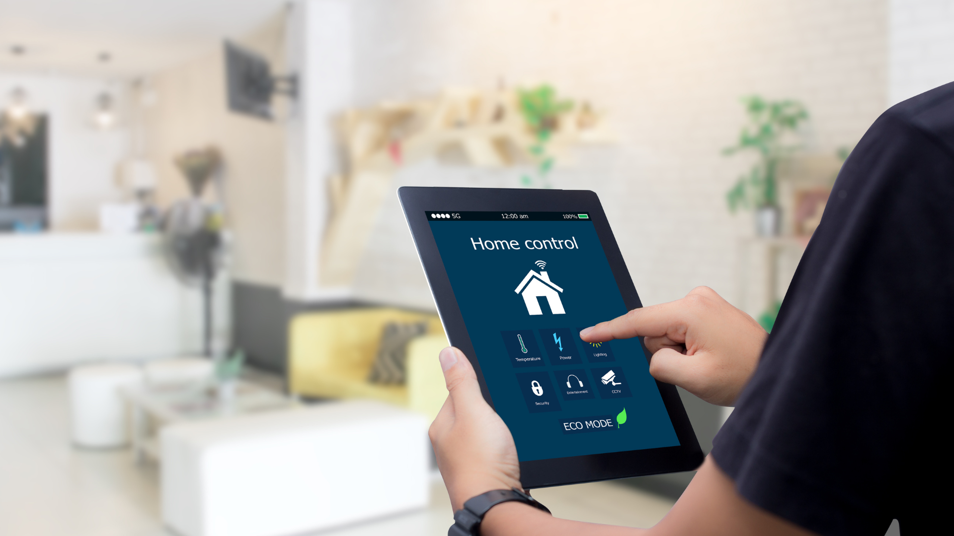 Smart Home Technology Installation (3)